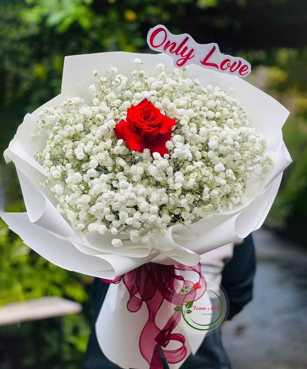 Tình Yêu Vĩnh Cửu HB102