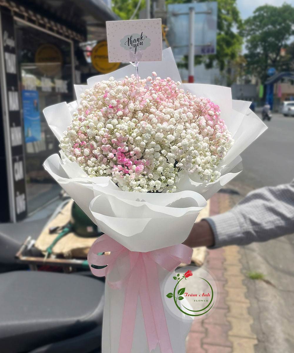 Nhịp Tim Anh HB106