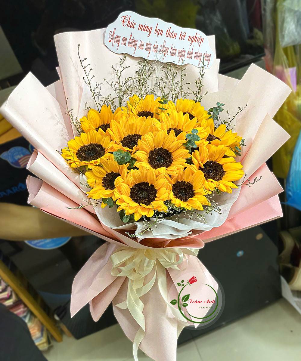 Ánh Mắt Yêu HB109