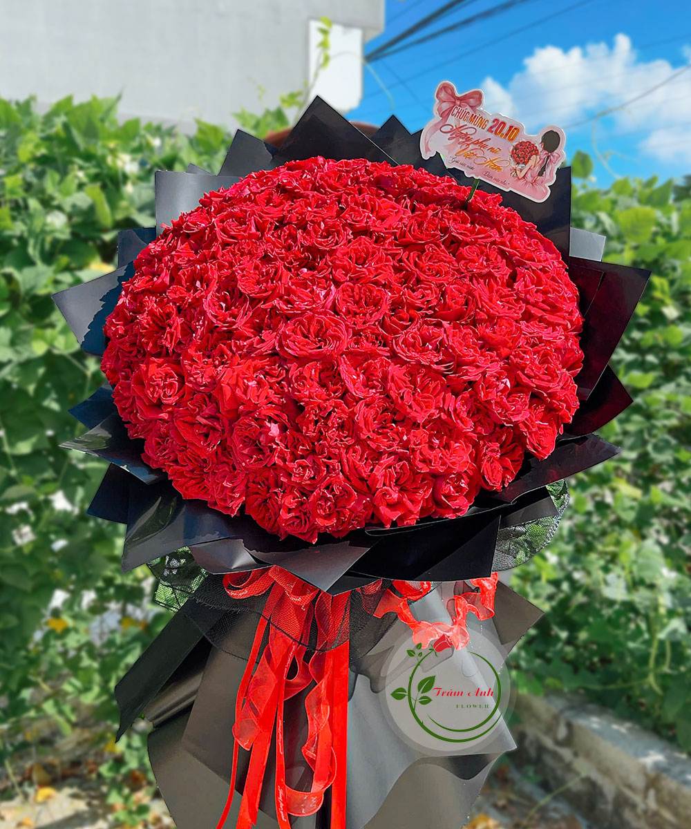 Lạc Vào Tình Yêu HB207