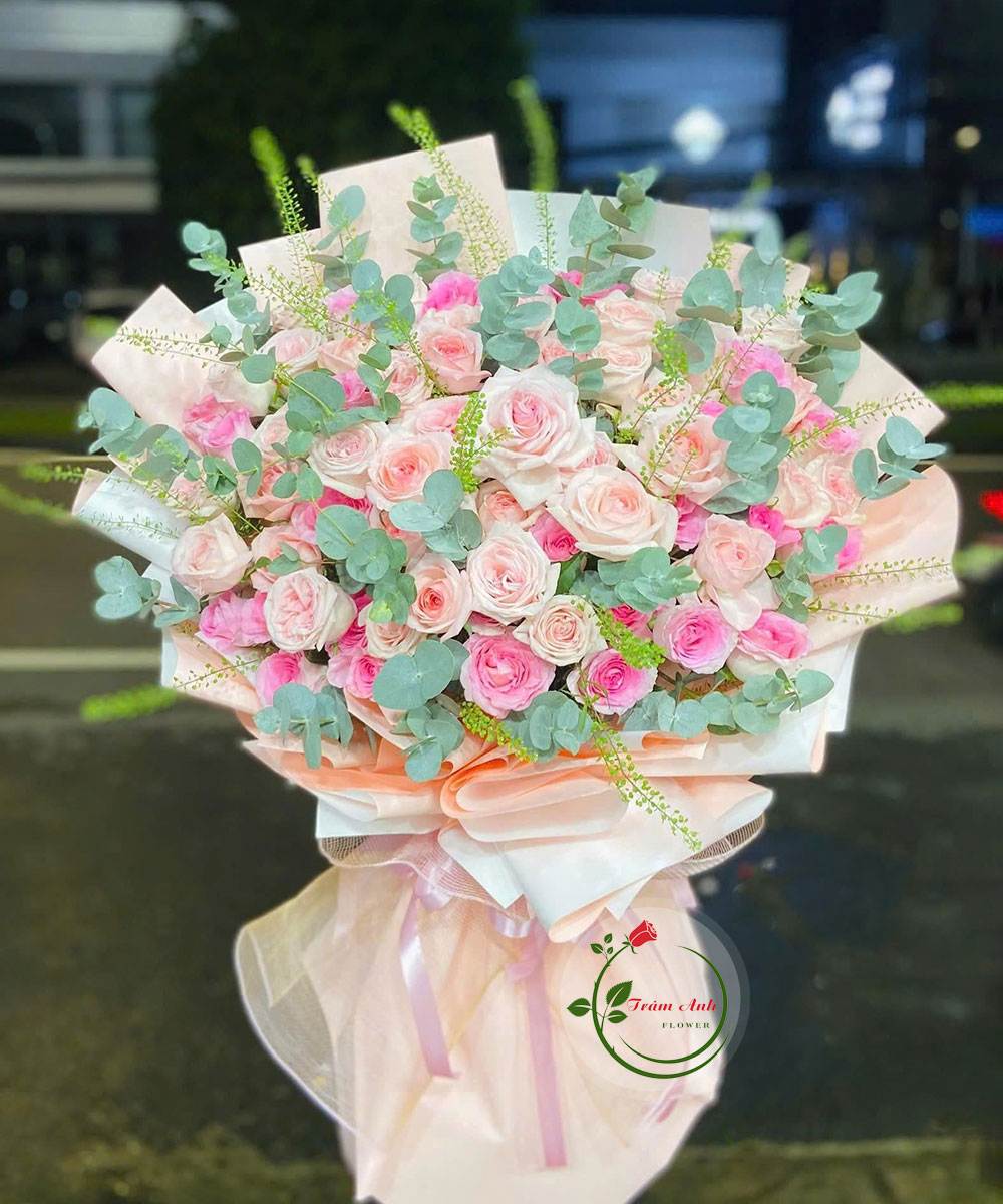 Nơi Tình Yêu Bắt Đầu HB209