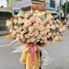 Gửi Em Bình Yên HB216 1 HB216