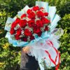 Tình Yêu Nhẹ Tênh HB221 1 HB221