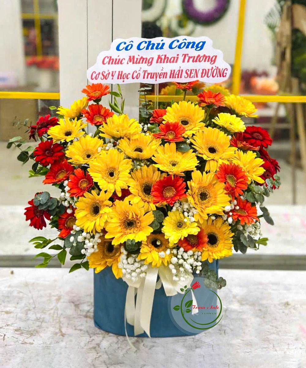Lời Yêu Thầm Lặng HG110