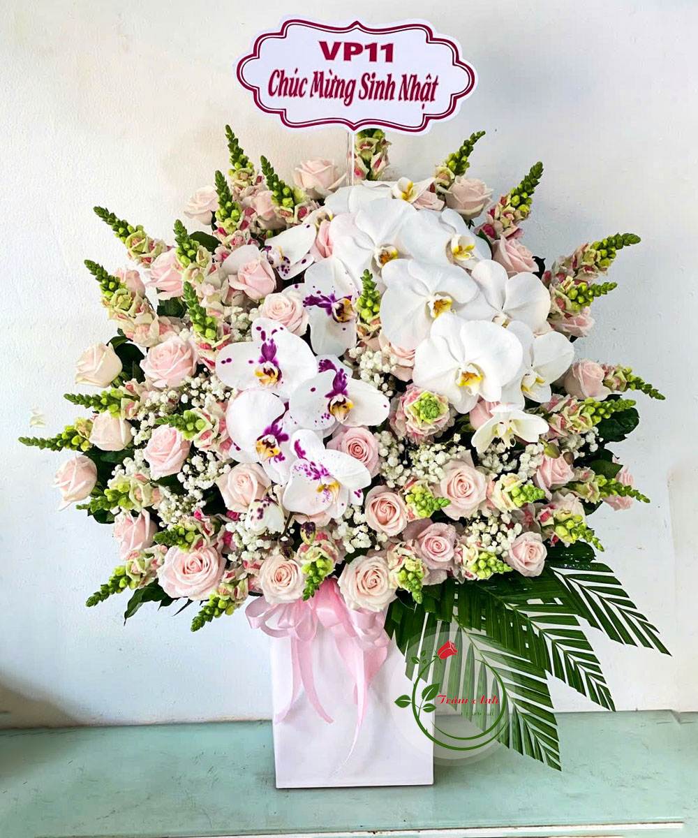 Ánh Trăng Dịu Dàng HG127