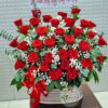 Crush Ngọt Ngào HG133 2 HG133