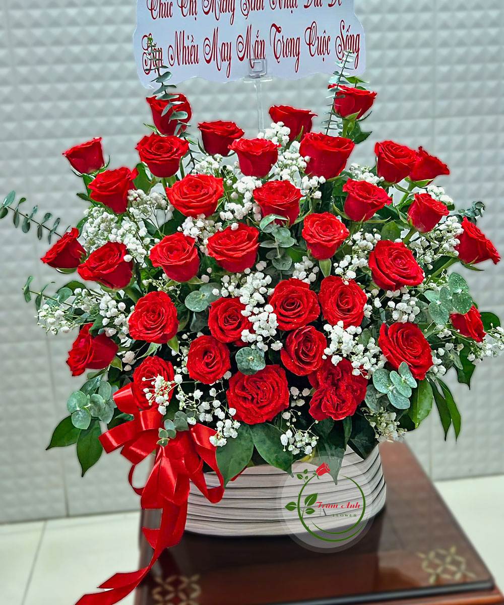 Crush Ngọt Ngào HG133