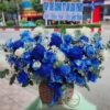 Ngọt Như Kẹo HG136 1 HG136