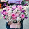 Pinky Love HG140 1 HG140