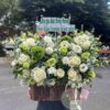True Love HG164 2 HG164