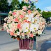 Blooming Love HG169 1 HG169