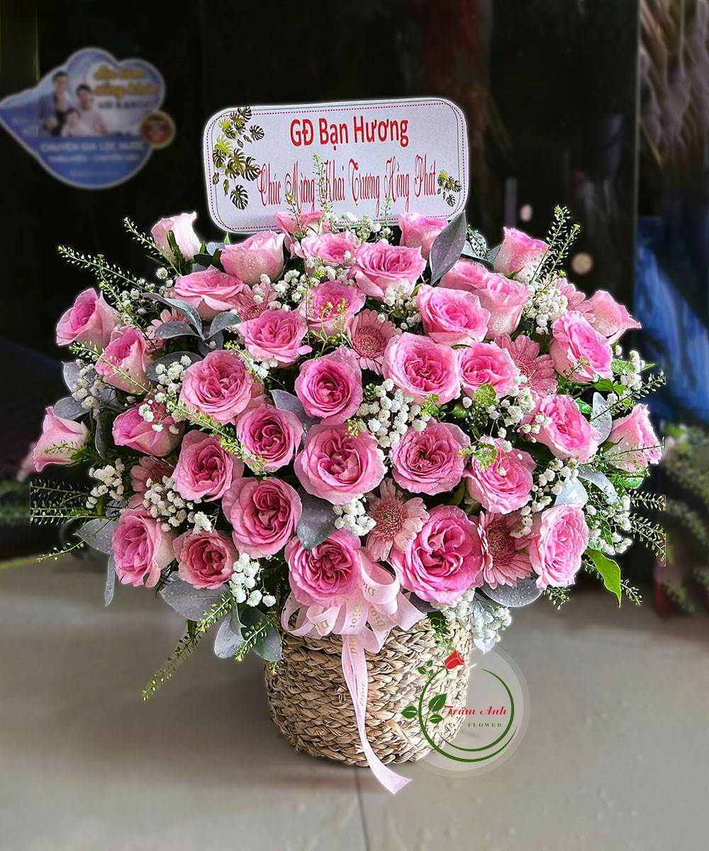 Ánh Sao HG188