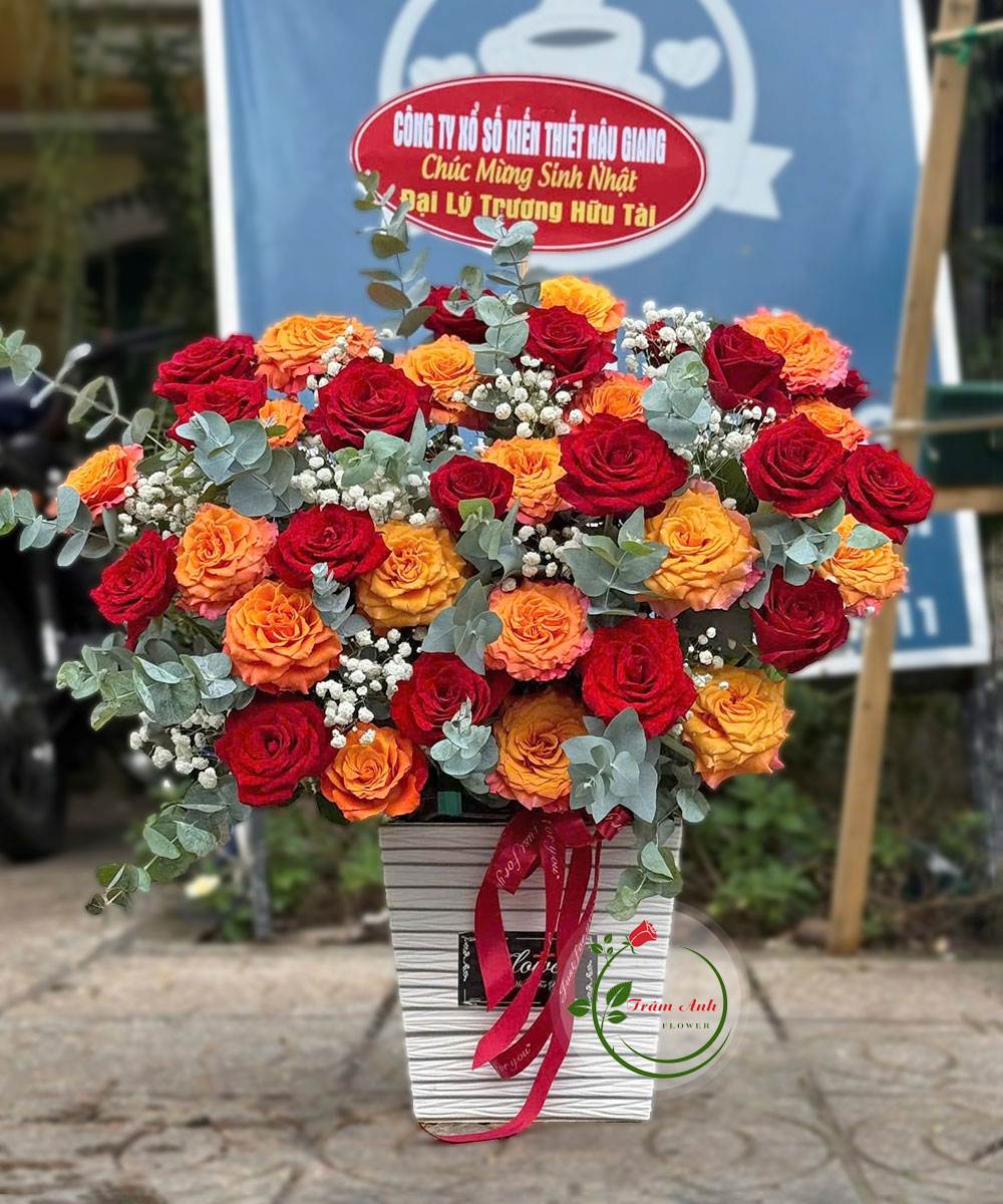 Ngày Đặc Biệt HG235