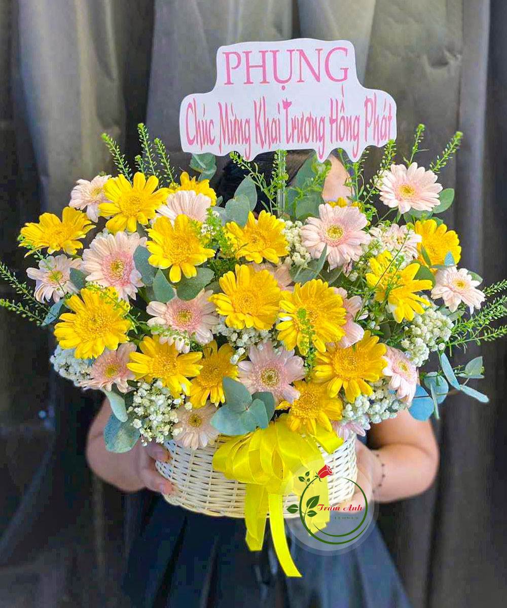 Tình Yêu Chớm Nở HG254