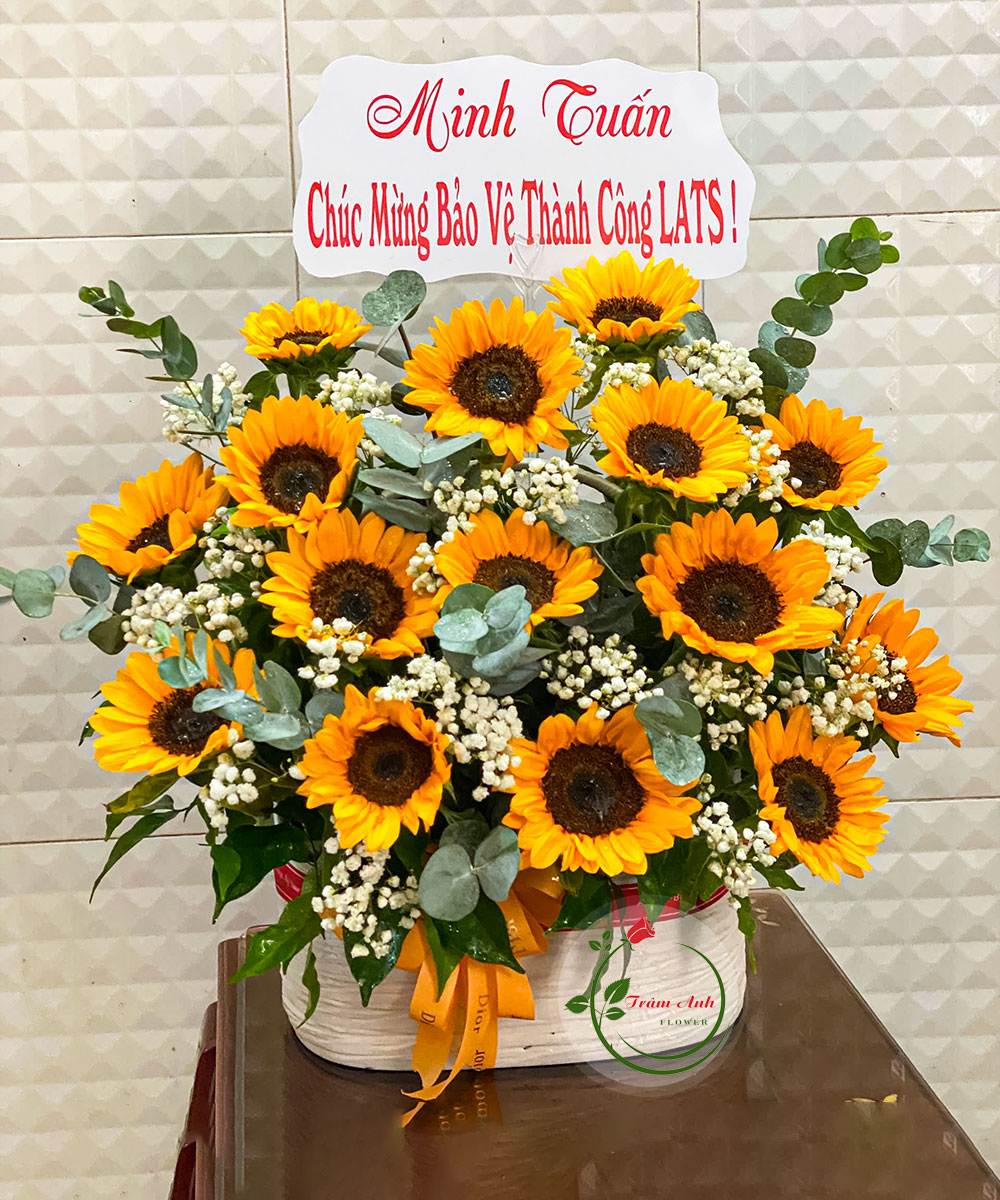 Thương Em Là Điều Anh Muốn HG259