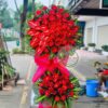 Blooming Day KT244 1 KT244