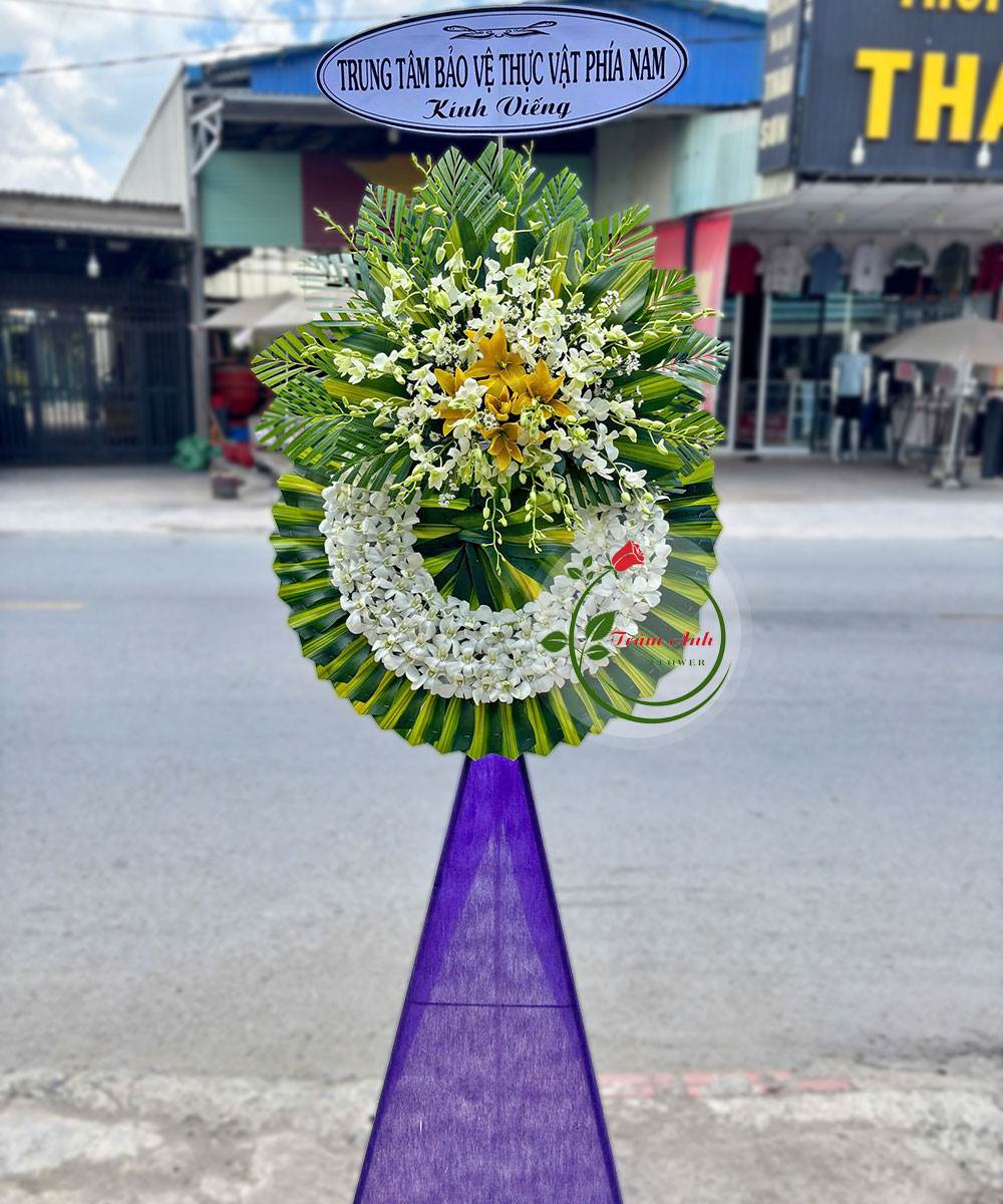 Hương Thương VT151