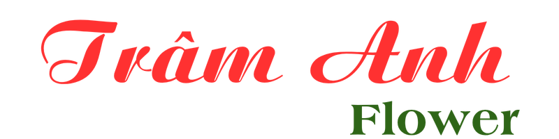 Shop Hoa Trâm Anh